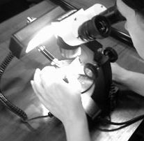 Inspecting the stone setting under microscope.